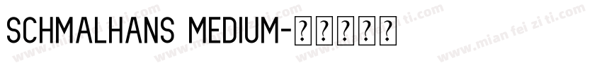 Schmalhans Medium字体转换
